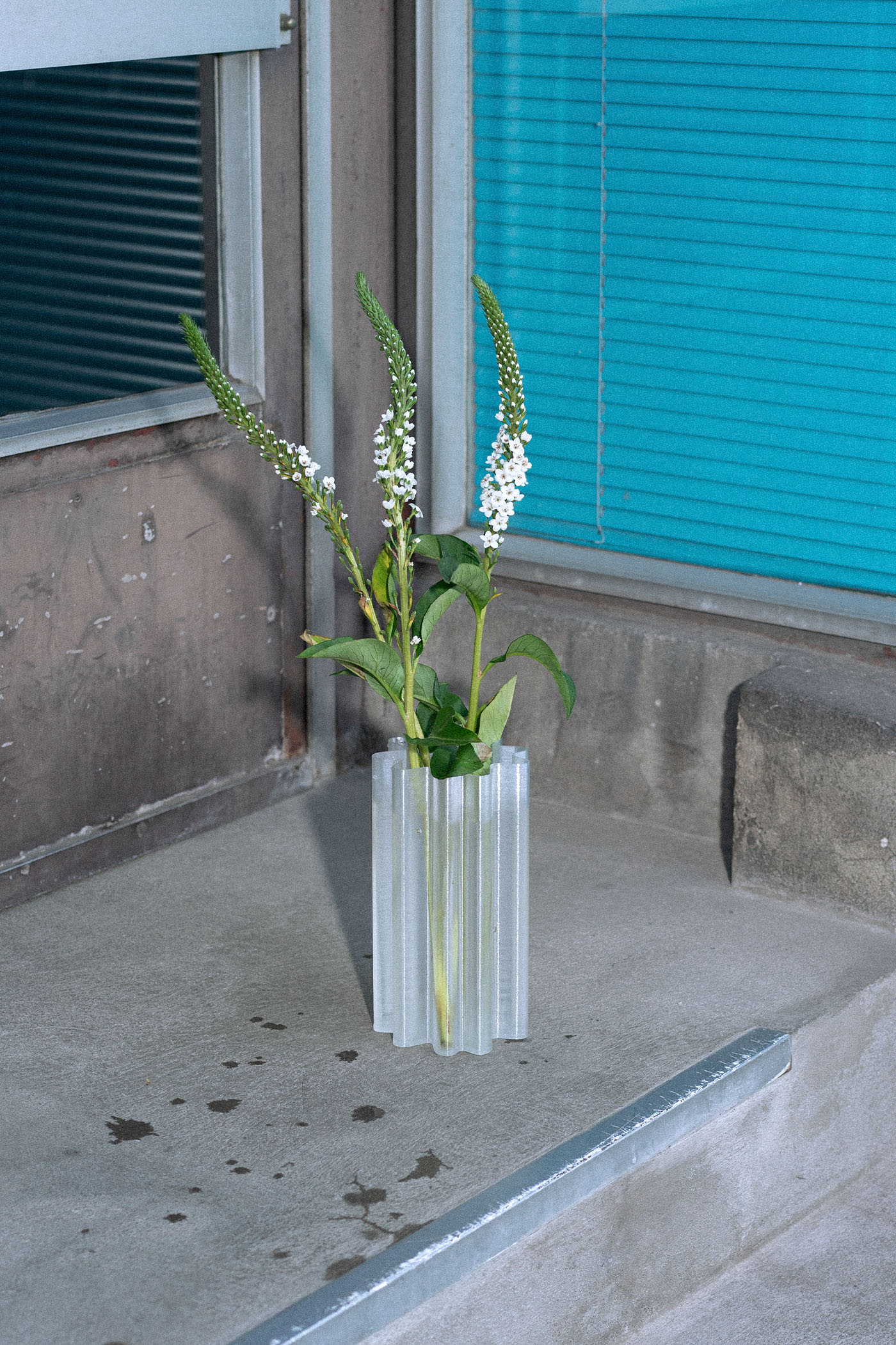 Vala Vase / medium
